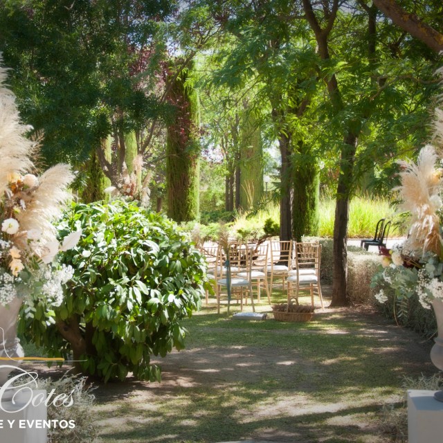 EL TEU CASAMENT A LA TEVA MIDA